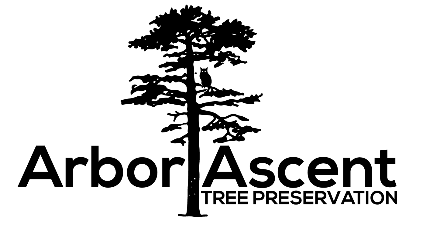 Arbor Ascent